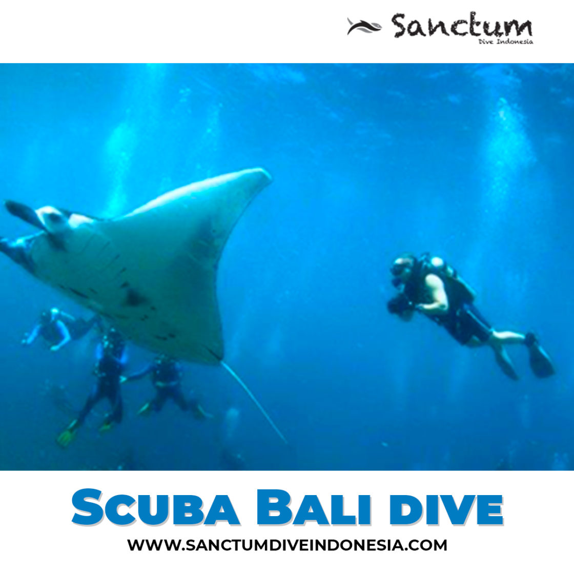 scuba-bali-dive