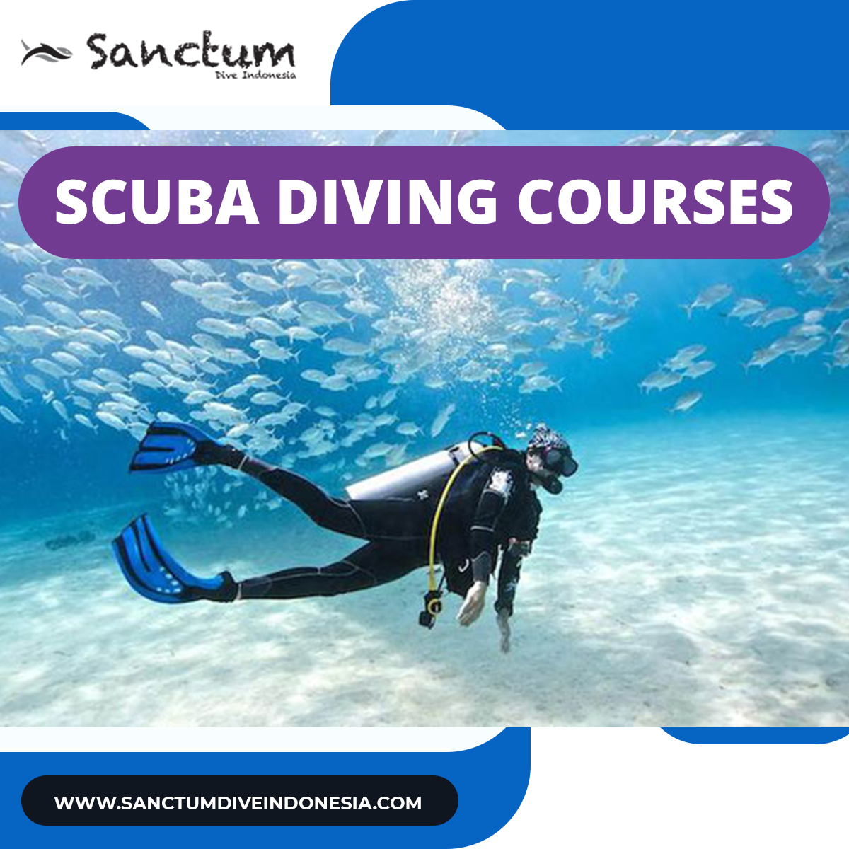 scuba-diving-courses