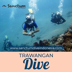 trawangan-dive