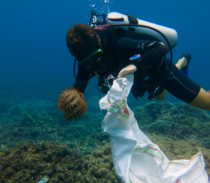 Best Dive Center Nusa Penida