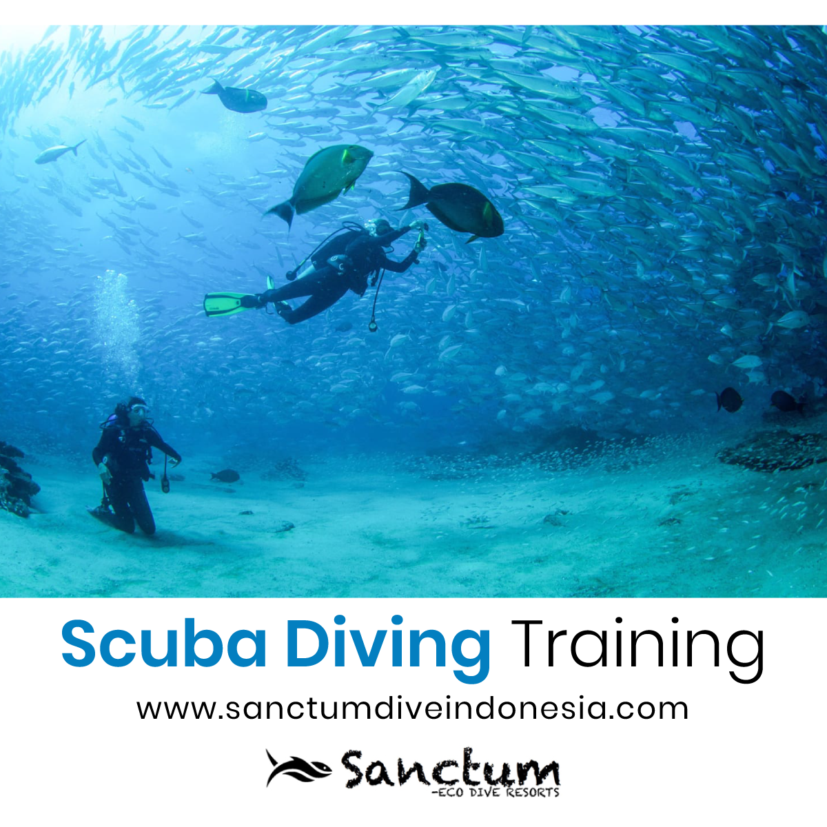 scuba-diving-training