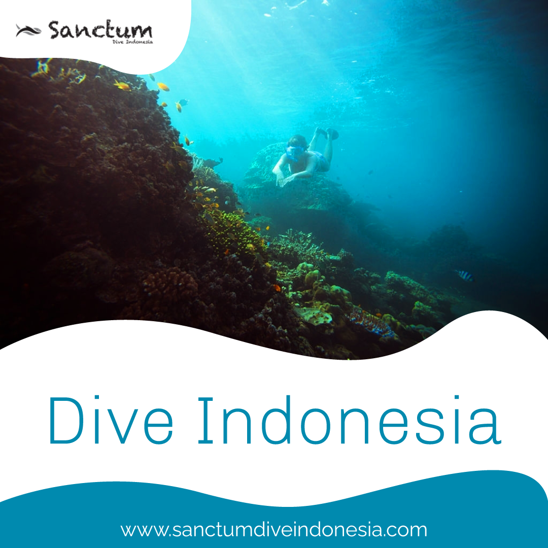 Dive-indonesia