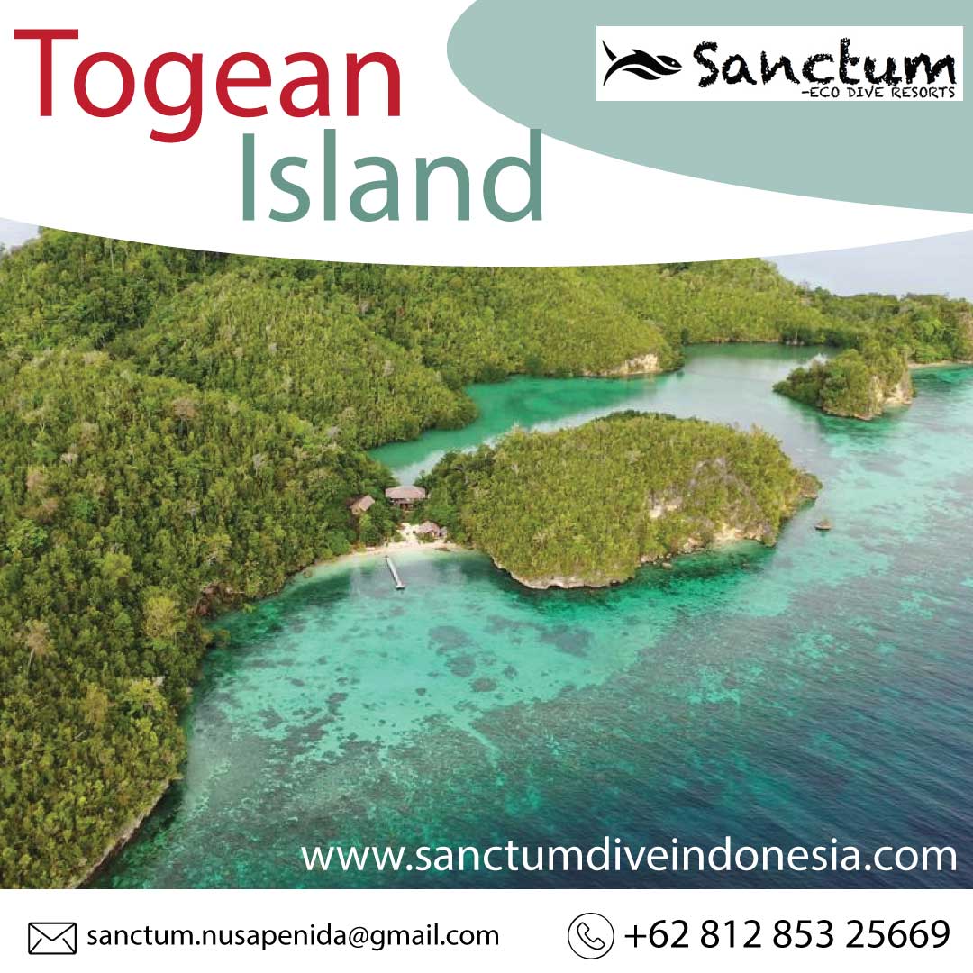 Togean-island