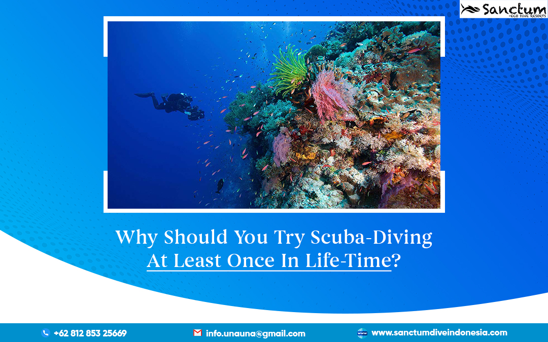 Why Should You Try Scuba-Diving At Least Once In Life-Time?