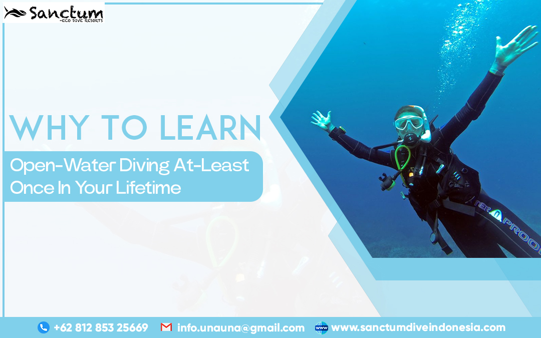 Why To Learn Open-Water Diving At-Least Once In Your Lifetime