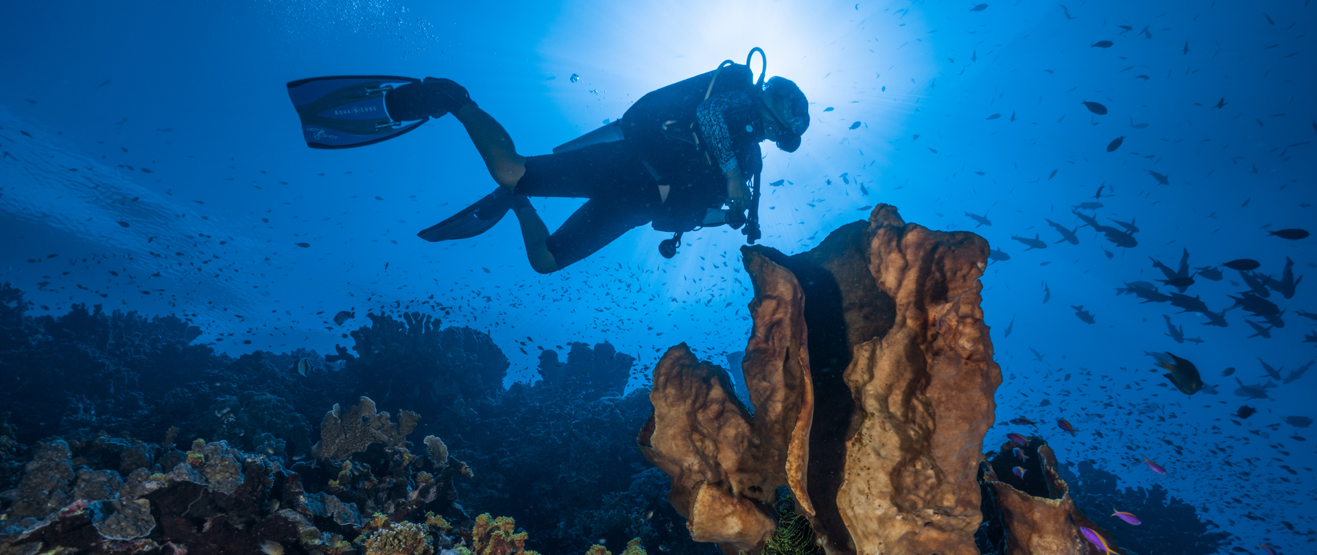 diving nusa penida