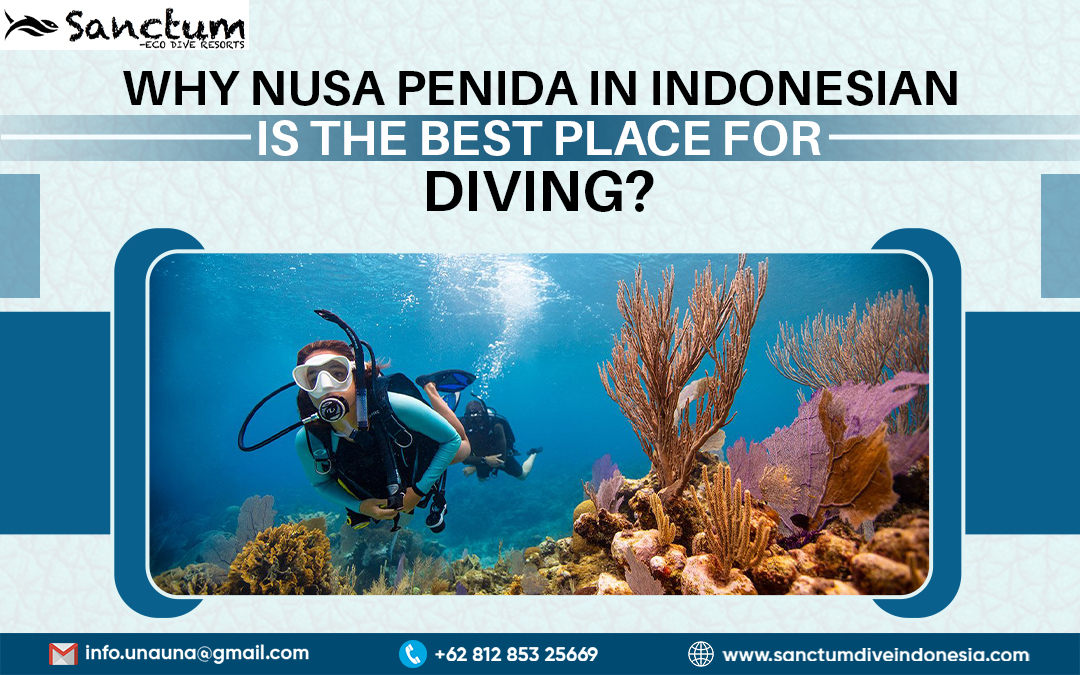 Why Nusa Penida In Indonesian Is The Best Place For Diving?