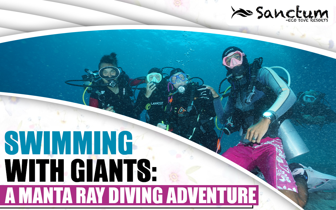 Swimming with Giants: A Manta Ray Diving Adventure