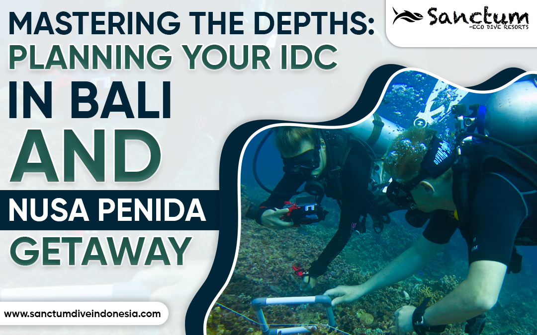 Mastering the Depths: Planning Your IDC in Bali and Nusa Penida Getaway