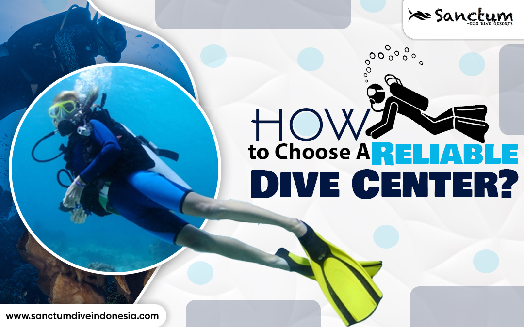How to Choose A Reliable Dive Center?