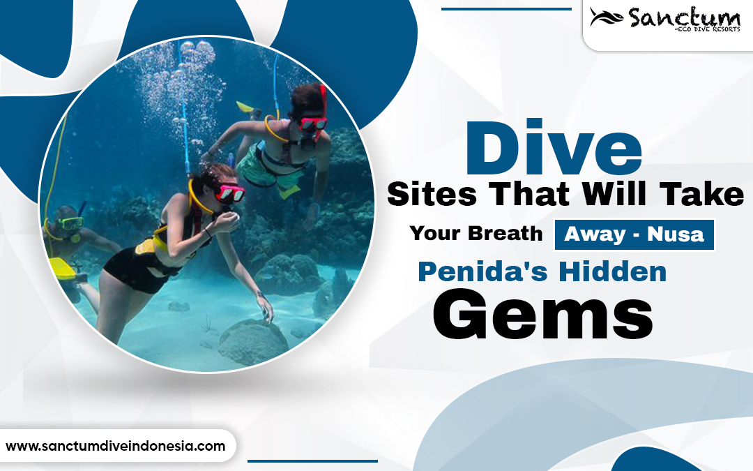 Dive Sites That Will Take Your Breath Away - Nusa Penida's Hidden Gems