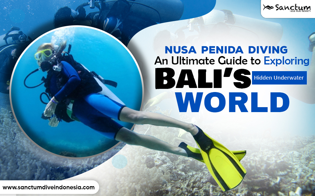 Nusa Penida Diving: An Ultimate Guide to Exploring Bali’s Hidden Underwater World