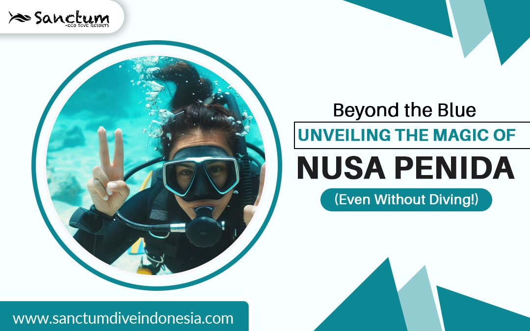 Beyond the Blue: Unveiling the Magic of Nusa Penida (Even Without Diving!)
