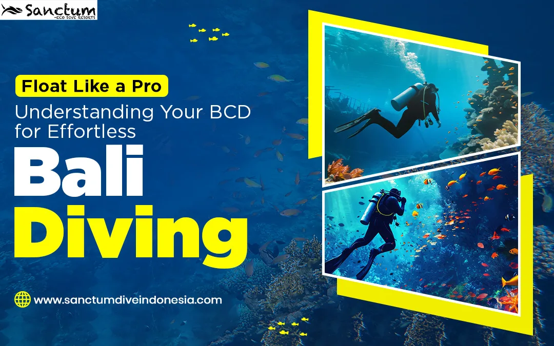 Float Like a Pro: Understanding Your BCD for Effortless Bali Diving ...