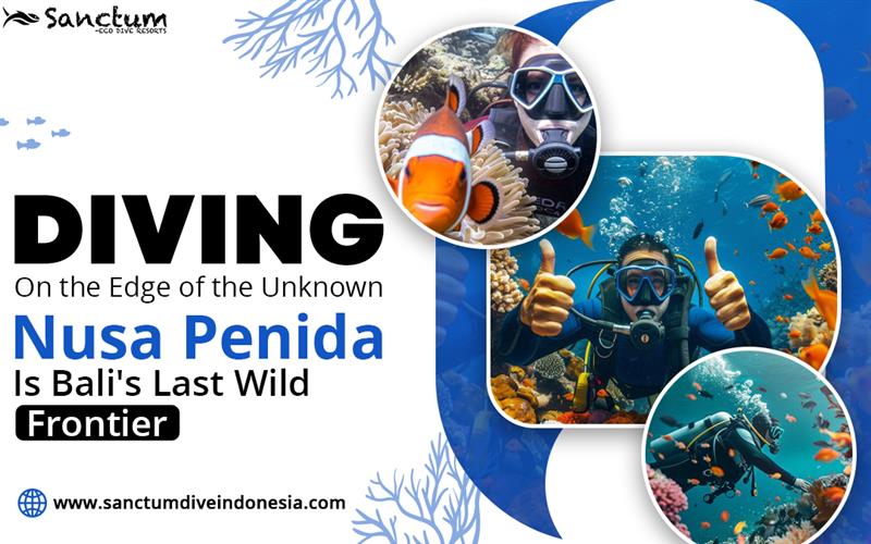 Diving on the Edge of the Unknown—Nusa Penida Is Bali’s Last Wild Frontier
