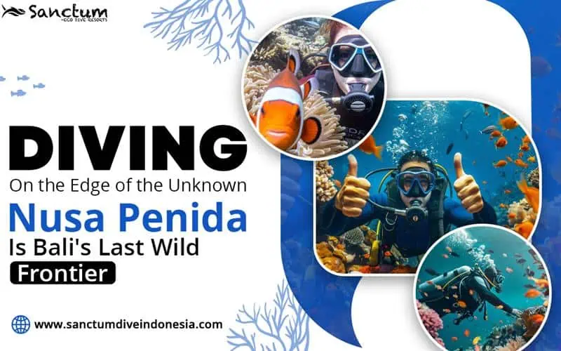 Diving on the Edge of the Unknown—Nusa Penida Is Bali’s Last Wild Frontier
