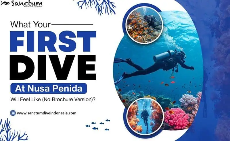 What Your First Dive at Nusa Penida Will Feel Like (No Brochure Version)