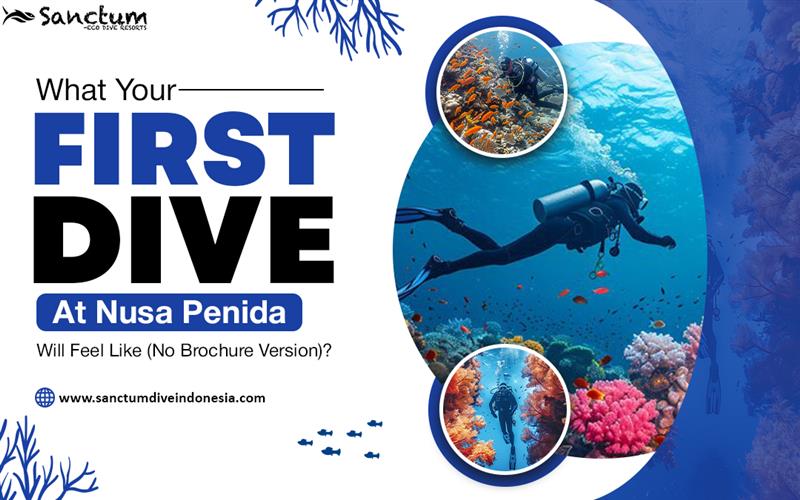 What Your First Dive at Nusa Penida Will Feel Like (No Brochure Version)